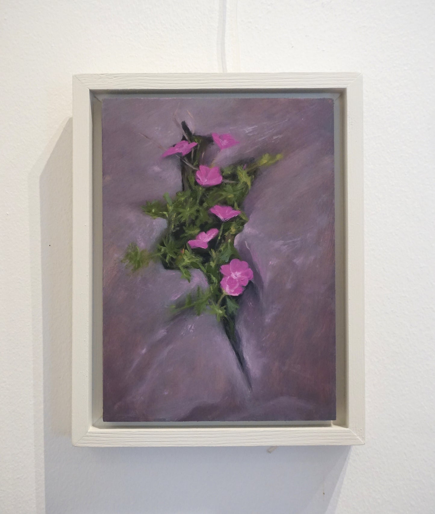 Inis Mór, Aran - Bloody Cranesbill