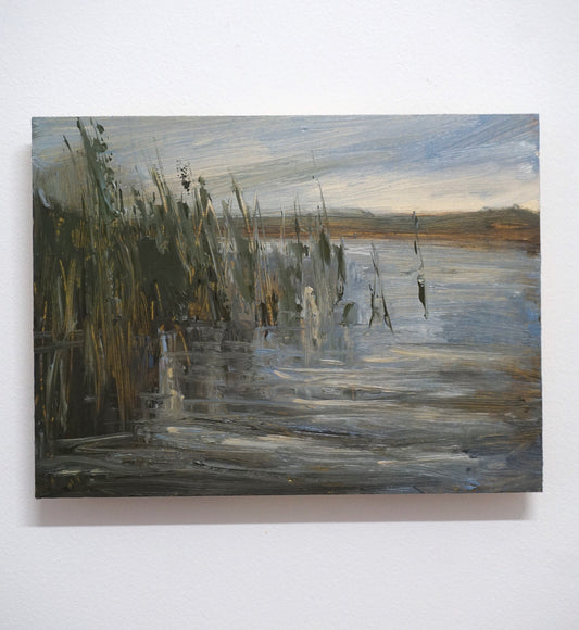 Corrib River, Galway - Reeds Rising