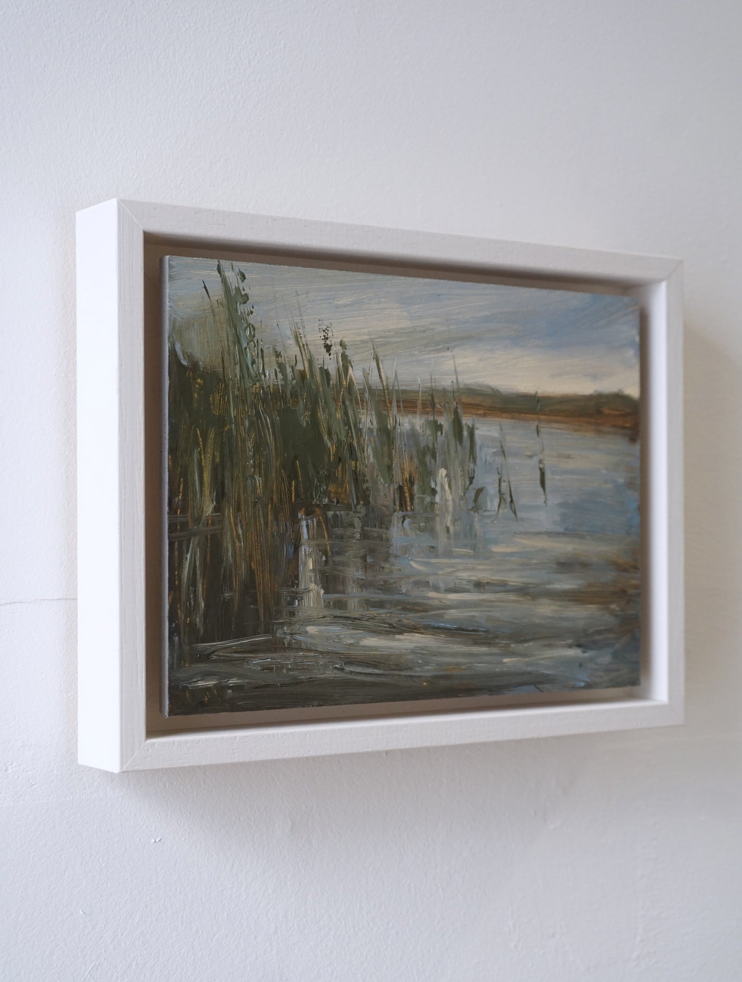 Corrib River, Galway - Reeds Rising